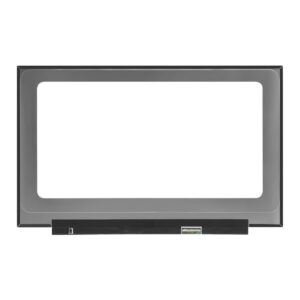 17.3" FHD IPS Slim Screen 40-Pin 144 / 240Hz